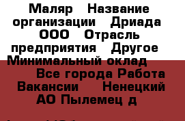 Маляр › Название организации ­ Дриада, ООО › Отрасль предприятия ­ Другое › Минимальный оклад ­ 18 000 - Все города Работа » Вакансии   . Ненецкий АО,Пылемец д.